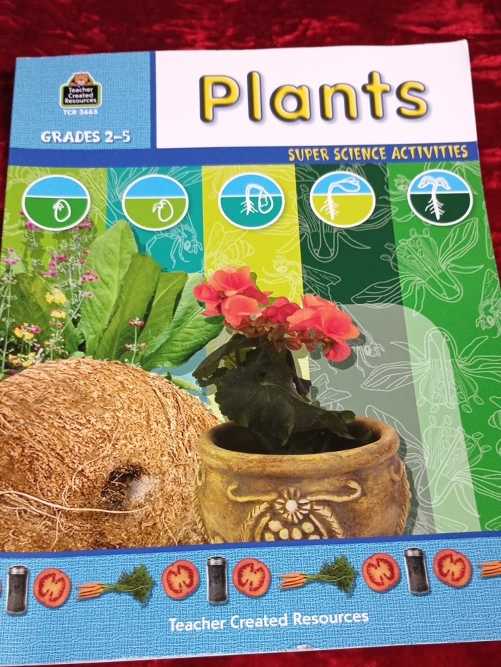 Plants Activity Book - Green/Cream